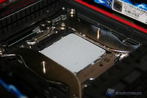 IMG 7060