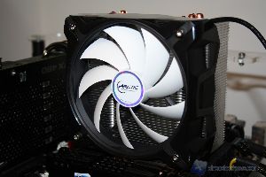 IMG 7074